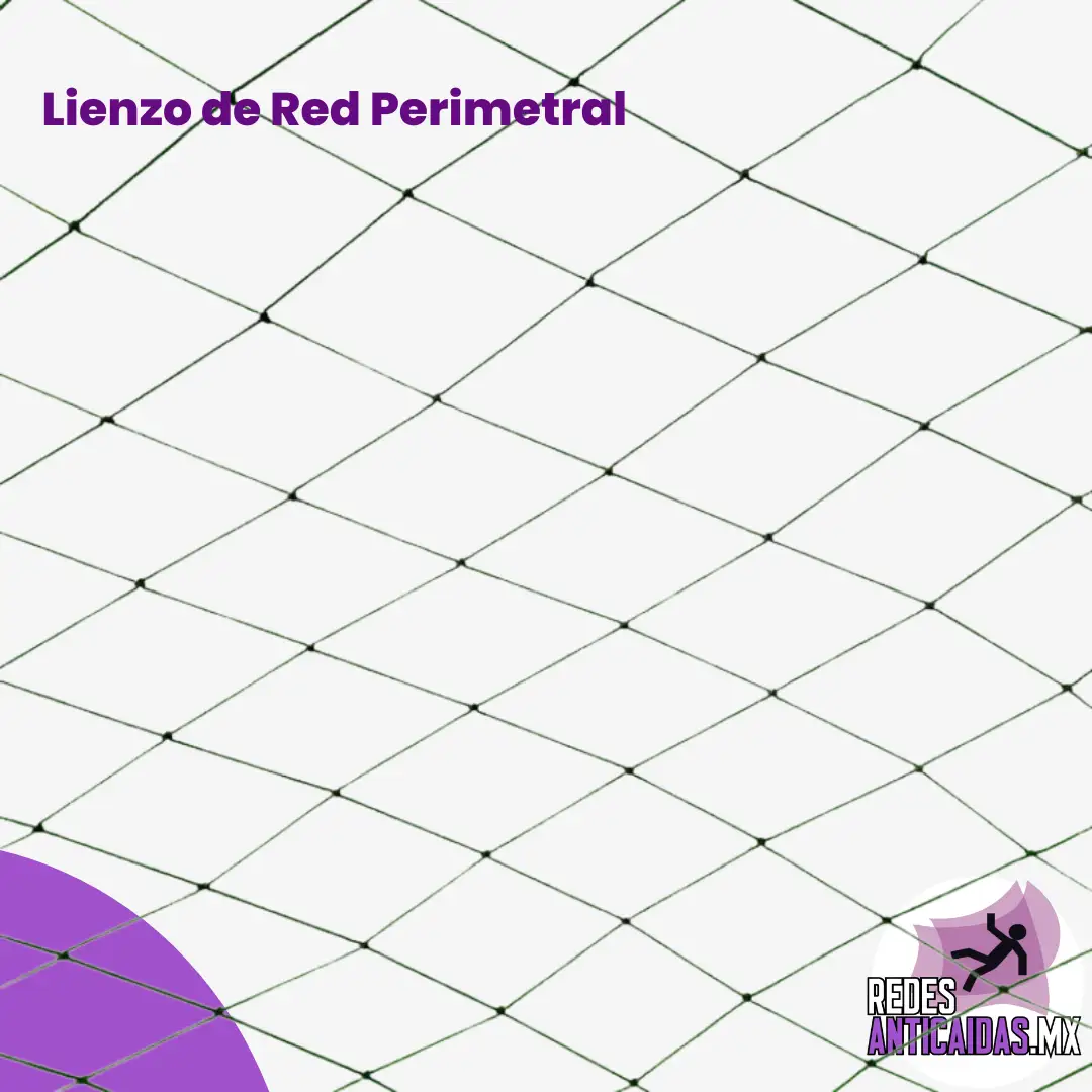Lienzo de Red Perimetral de 4 pulgadas